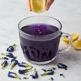 Blue Pea Flower Green Tea